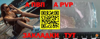 spice Кингисепп