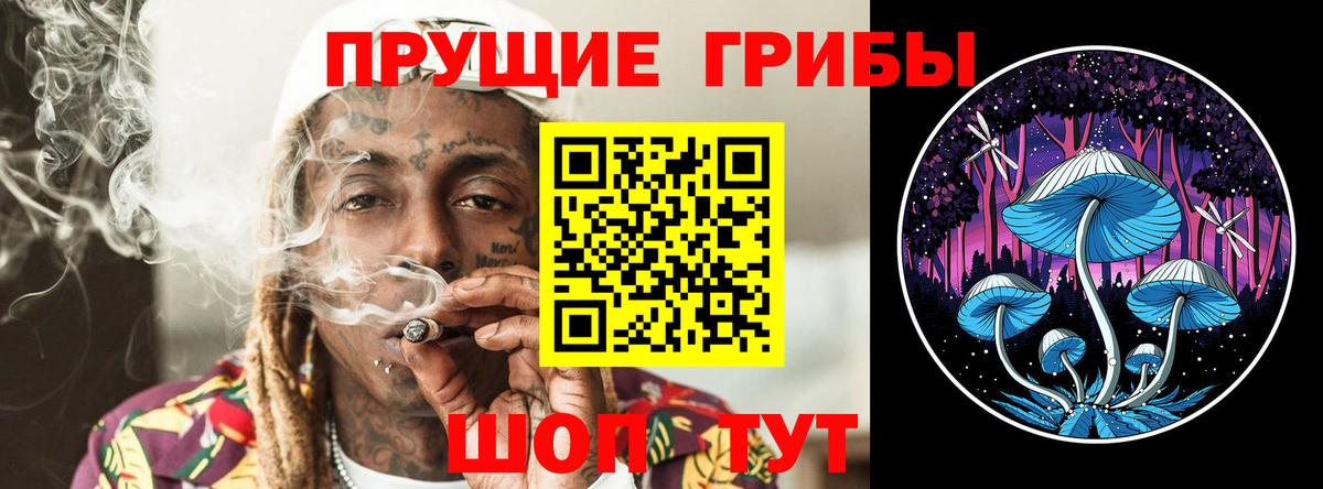 Псилоцибиновые грибы мицелий  Вход с VPN  Красногорск 