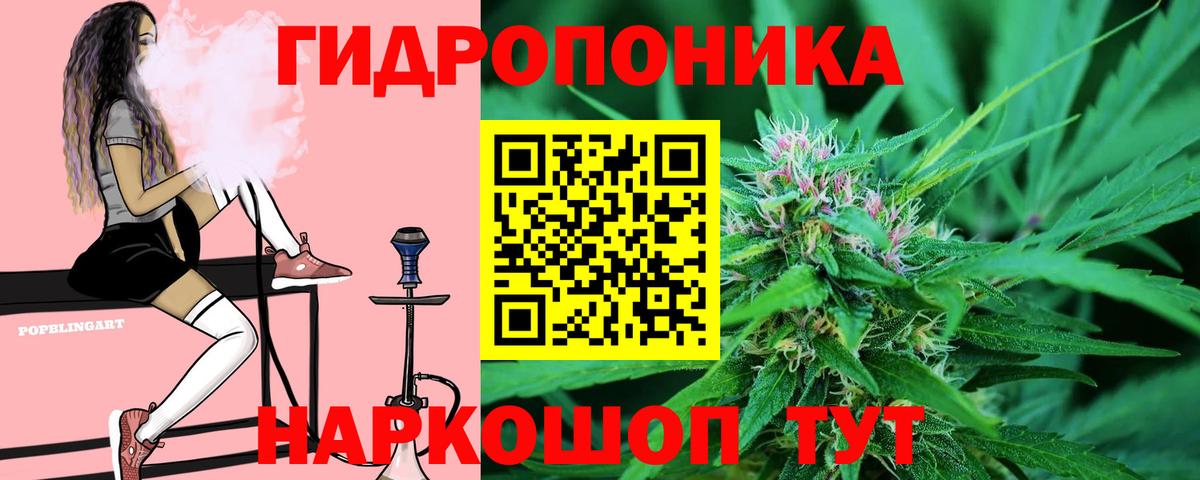 Шишки марихуана VHQ  Марихуана марихуана  Вход с VPN  Бошки Шишки OG Kush  Красногорск 
